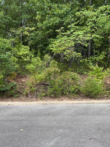 Tbd Skylee Drive, Hollister, MO 65672