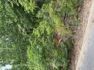 Tbd Skylee Drive, Hollister, MO 65672