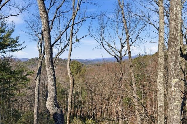 1343 McElroy Mountain Drive, Jasper, GA 30143