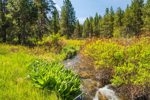 53539 Kokanee Way, La Pine, OR 97739