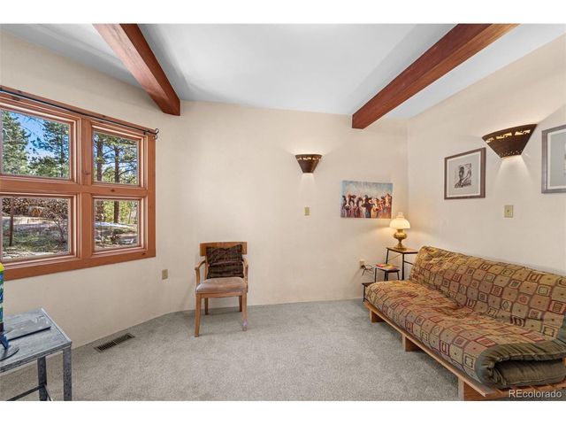 174 Needle Creek Rd, Divide, CO 80814
