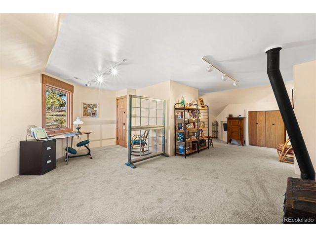 174 Needle Creek Rd, Divide, CO 80814