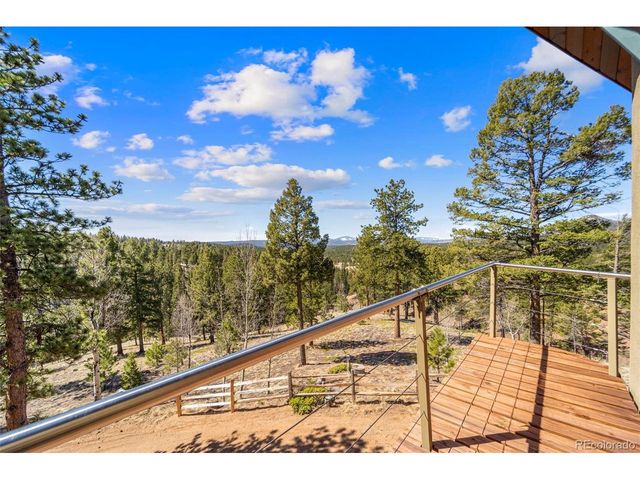174 Needle Creek Rd, Divide, CO 80814