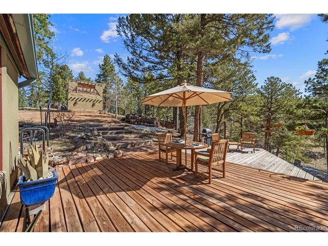 174 Needle Creek Rd, Divide, CO 80814