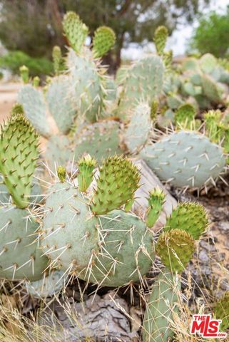 6942 Sunnyhill Road, Joshua Tree, CA 92252