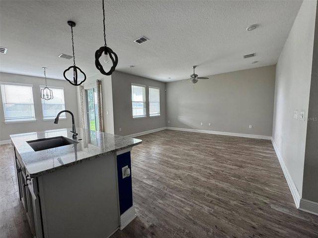 231 MESSINA PLACE, Howey In The Hills, FL 34737