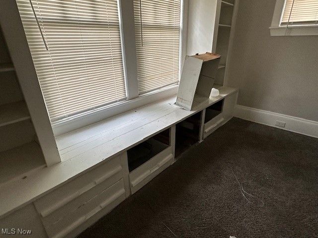 499 E 124 Street, Cleveland, OH 44108