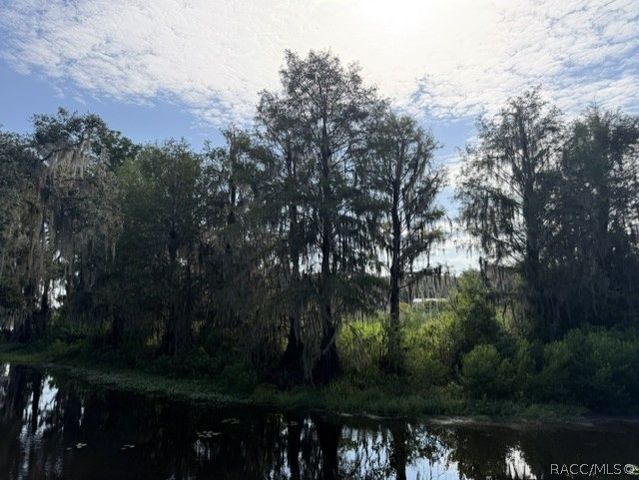 4218 E Lake Park Drive, Hernando, FL 34442