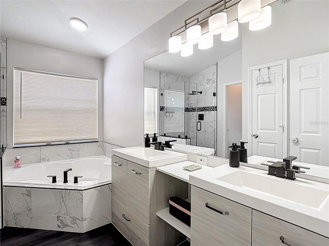 3238 WHOOPING CRANE RUN, Kissimmee, FL 34741