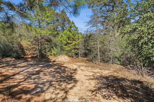 201 Winfield Thicket RD, Bastrop, TX 78602