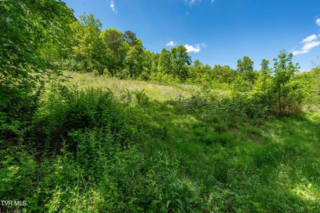 Tbd Fishers Creek Road, Rogersville, TN 37857