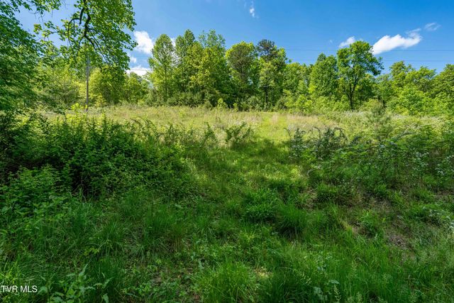 Tbd Fishers Creek Road, Rogersville, TN 37857