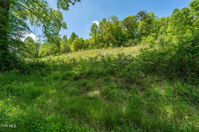 Tbd Fishers Creek Road, Rogersville, TN 37857