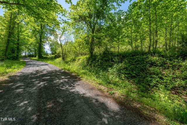 Tbd Fishers Creek Road, Rogersville, TN 37857