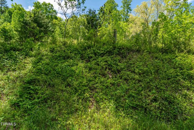 Tbd Fishers Creek Road, Rogersville, TN 37857