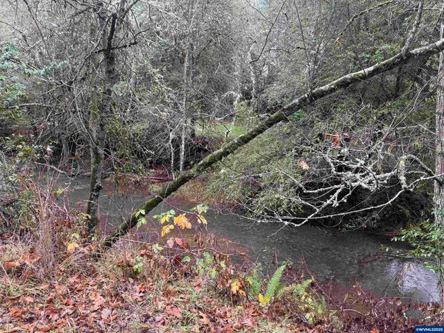 480 SE Woody Ct, Myrtle Creek, OR 97457