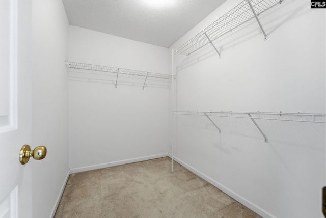 321 Delaine Woods Drive, Irmo, SC 29063