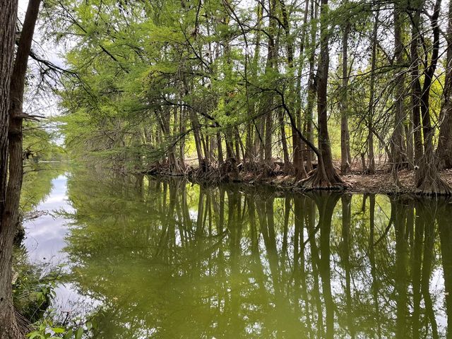 2915 Riverside Dr, Kerrville, TX 78028