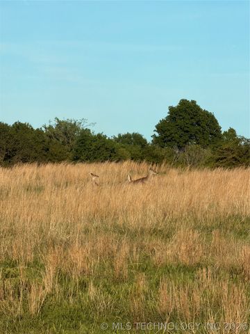 14570 Box Road, Lexington, OK 73051
