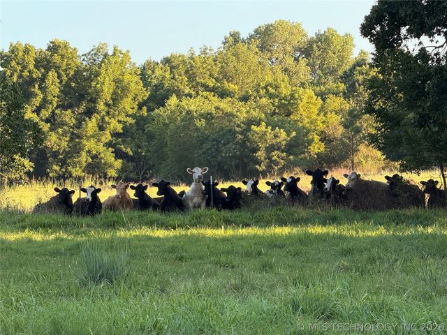14570 Box Road, Lexington, OK 73051