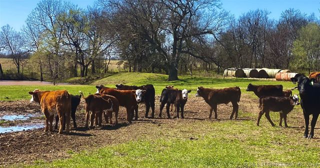 14570 Box Road, Lexington, OK 73051