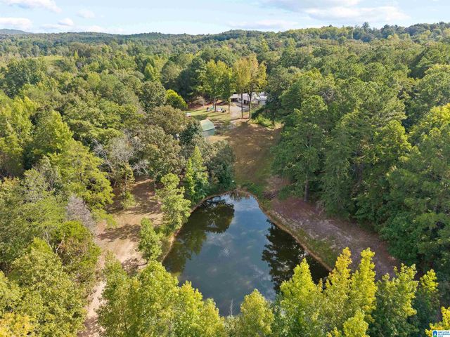 2516 RED VALLEY ROAD, Remlap, AL 35133