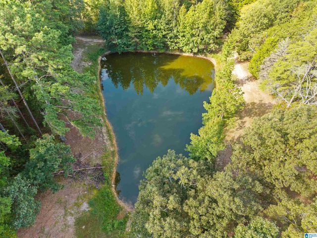 2516 RED VALLEY ROAD, Remlap, AL 35133