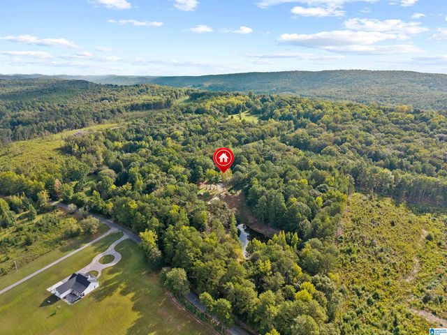 2516 RED VALLEY ROAD, Remlap, AL 35133