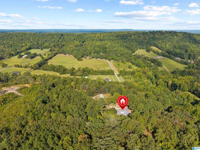 2516 RED VALLEY ROAD, Remlap, AL 35133