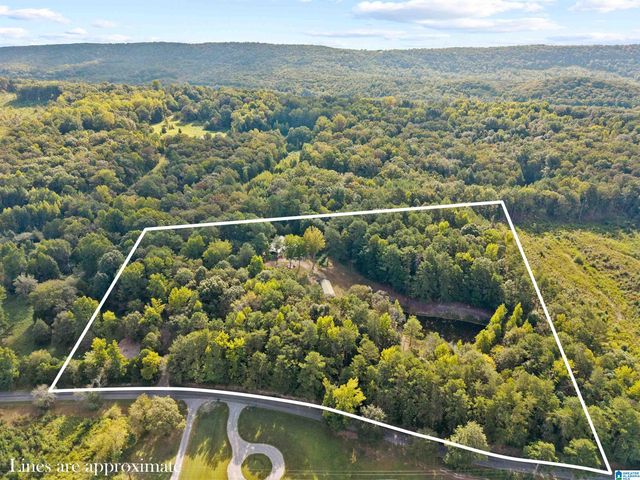 2516 RED VALLEY ROAD, Remlap, AL 35133