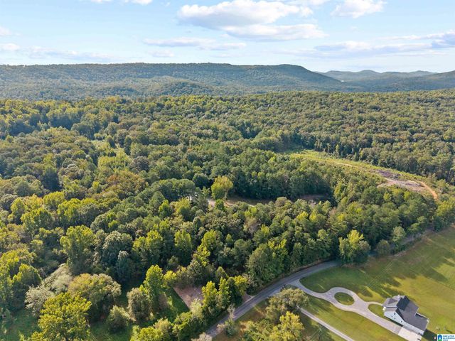 2516 RED VALLEY ROAD, Remlap, AL 35133