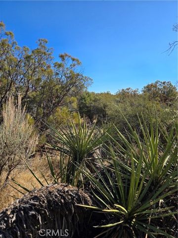 0 Howard Road, Anza, CA 92539