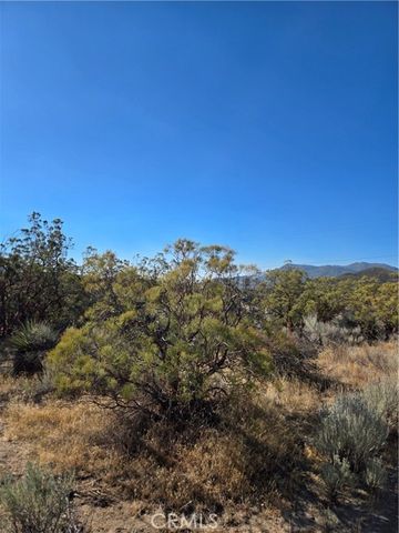 0 Howard Road, Anza, CA 92539