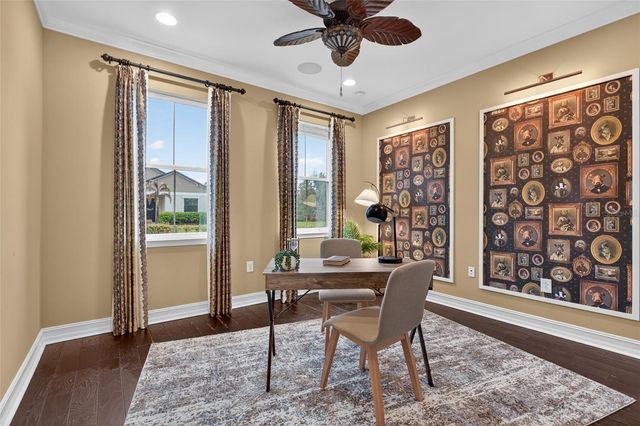 31335 DRISCOLL DRIVE, Wesley Chapel, FL 33543