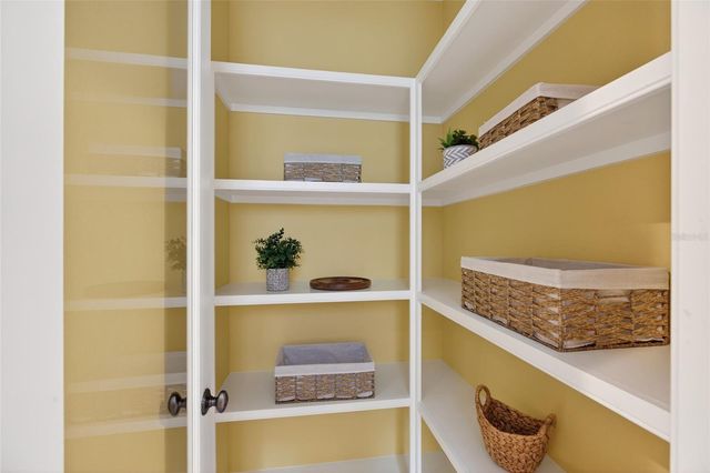 31335 DRISCOLL DRIVE, Wesley Chapel, FL 33543