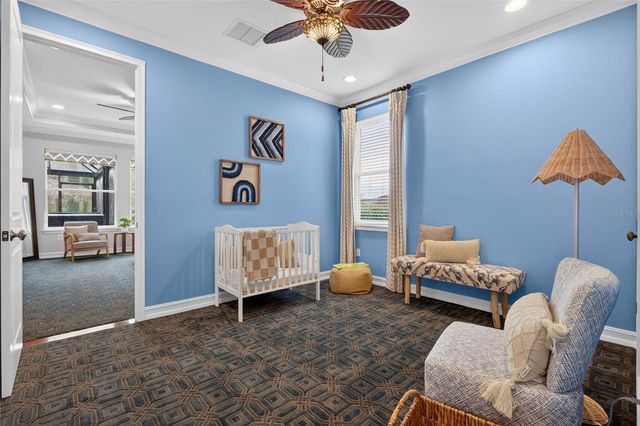 31335 DRISCOLL DRIVE, Wesley Chapel, FL 33543