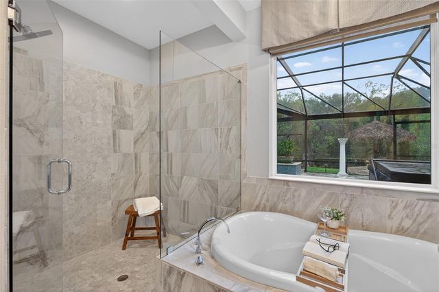 31335 DRISCOLL DRIVE, Wesley Chapel, FL 33543