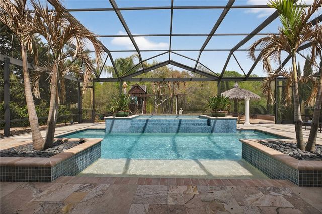 31335 DRISCOLL DRIVE, Wesley Chapel, FL 33543