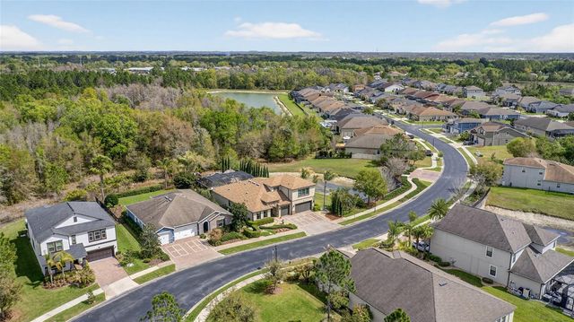 31335 DRISCOLL DRIVE, Wesley Chapel, FL 33543