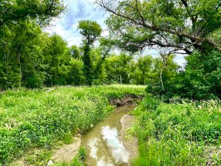 VL Braidwood Parcel 3 Road, Riley, MI 48041