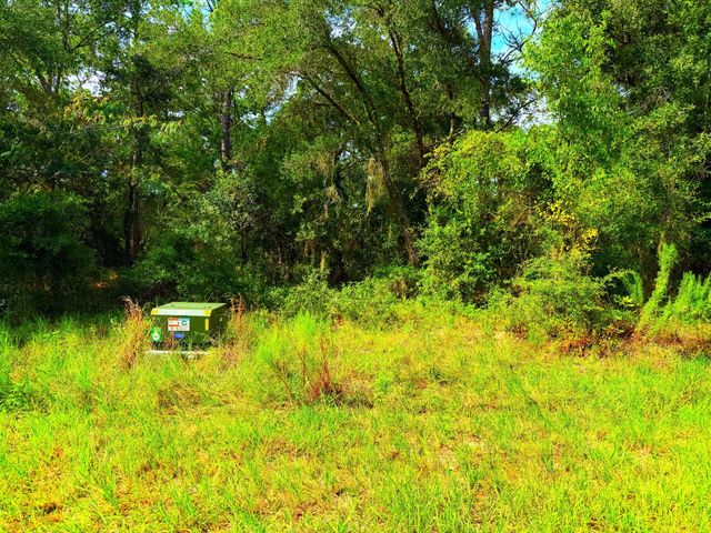 Tbd NW Shamrock Avenue, Dunnellon, FL 34431