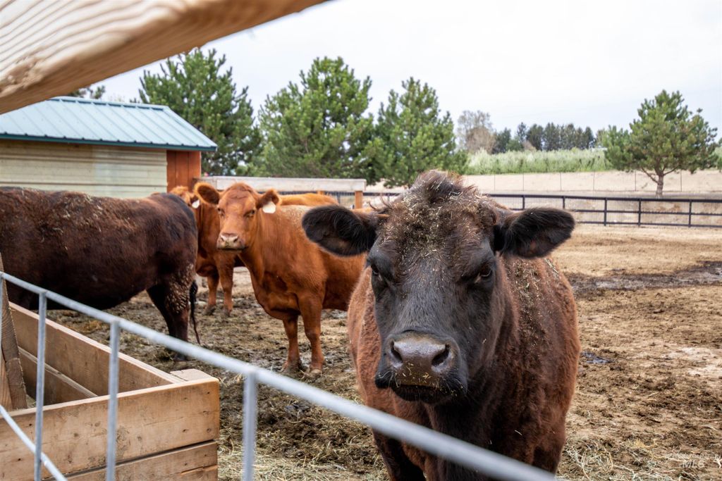 21407 Boehner Road, Caldwell, ID 83607 photo 12