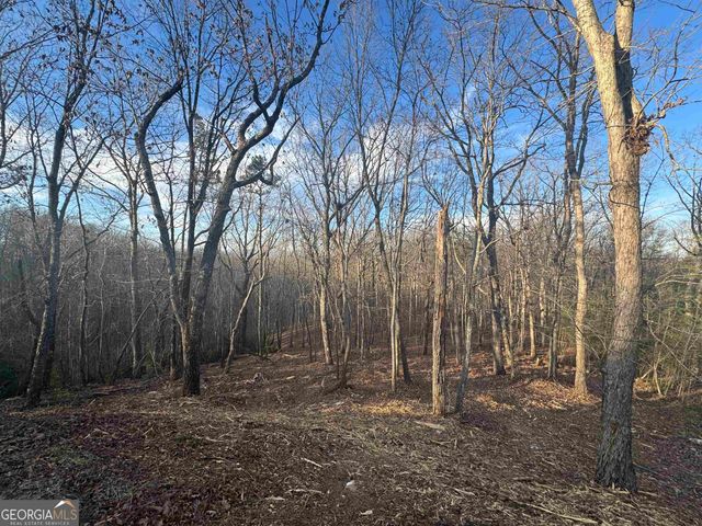 LOT 57 Teel Mtn Drive, Cleveland, GA 30528