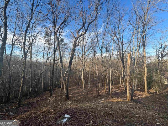 LOT 57 Teel Mtn Drive, Cleveland, GA 30528