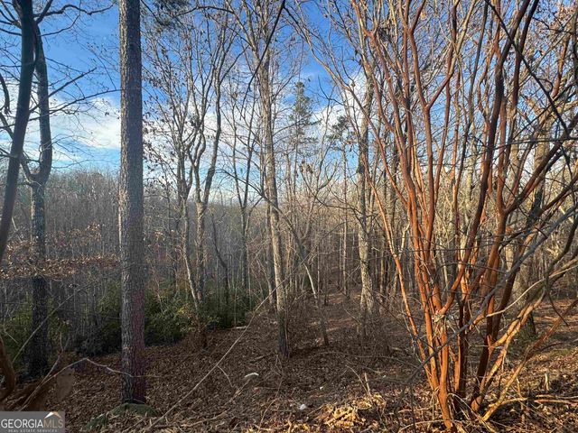 LOT 57 Teel Mtn Drive, Cleveland, GA 30528