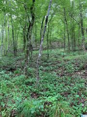 1321 RED OAK ROAD, Helena, AL 35080