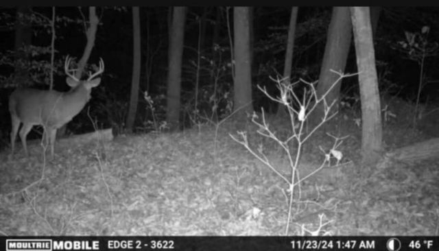 0 Egypt Hollow Road, Trenton, GA 30752