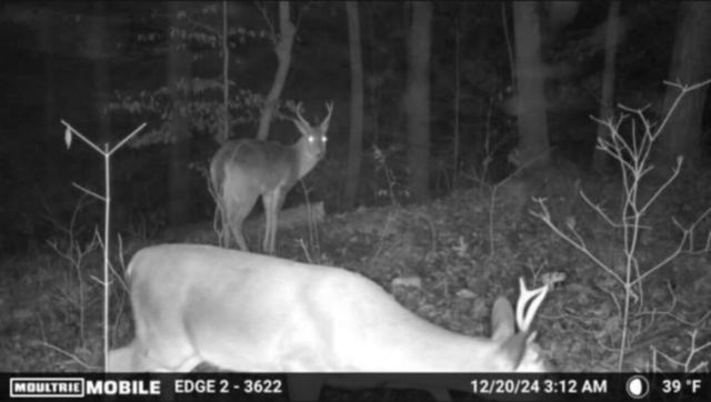 0 Egypt Hollow Road, Trenton, GA 30752