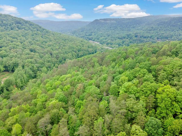 0 Egypt Hollow Road, Trenton, GA 30752