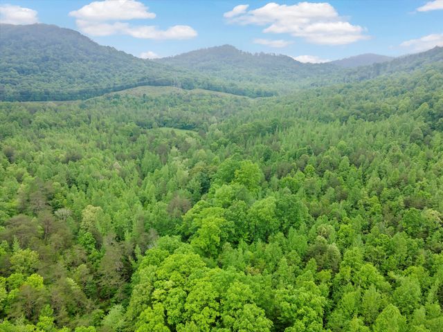 0 Egypt Hollow Road, Trenton, GA 30752